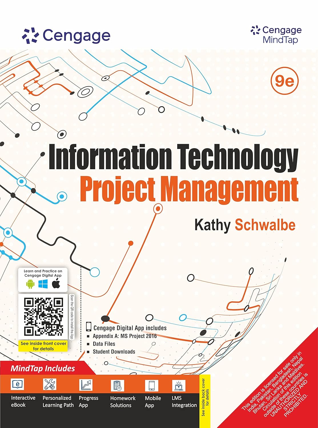 Information Technology Project Management
